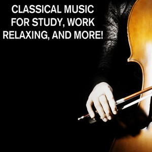 Violin Concerto No. 3 in G Major, K. 216: I. Allegro Wolfgang Amadeus Mozart | Album Cover