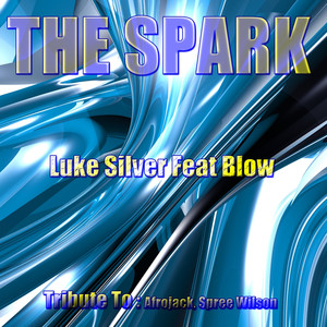 The Spark (feat. Spree Wilson) - Afrojack