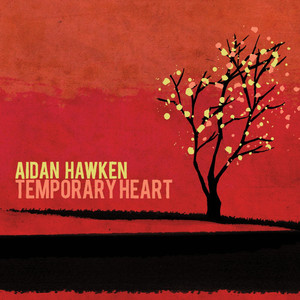 Into the Sea Aidan Hawken | Album Cover