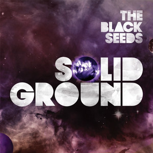 Take Your Chances - The Black Seeds | Song Album Cover Artwork