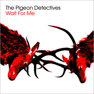I'm Not Sorry - The Pigeon Detectives