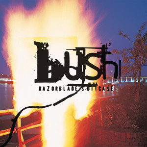Swallowed (Goldie/Toasted on Both Sides Please Mix) - Bush | Song Album Cover Artwork