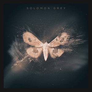 The Rift - Solomon Grey | Song Album Cover Artwork