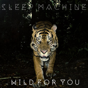 Wild for You - Sleep Machine