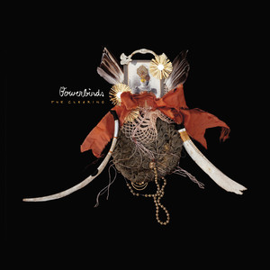 Tuck The Darkness In Bowerbirds | Album Cover