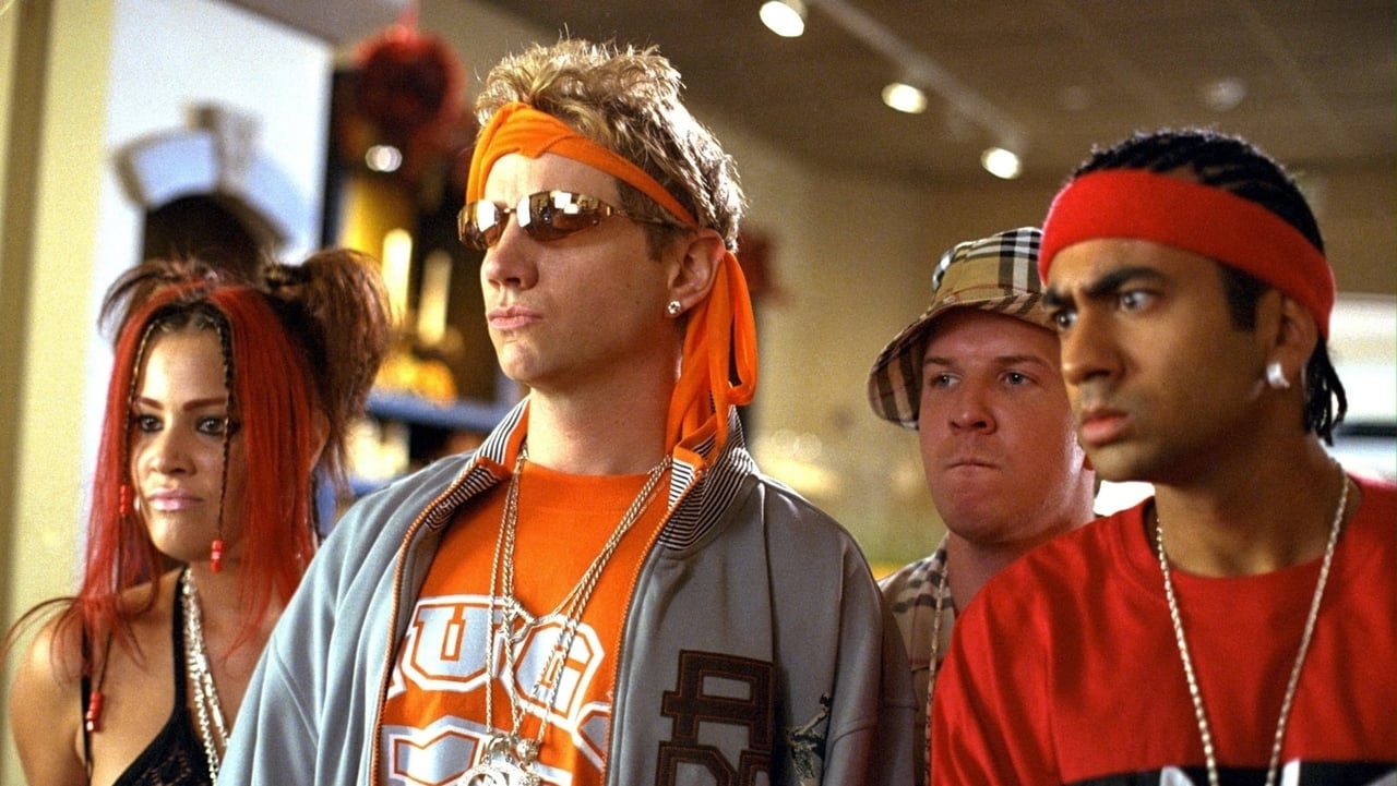 Malibu's Most Wanted 2003 - Movie Banner