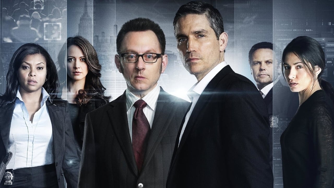 Person of Interest 2011 - Tv Show Banner