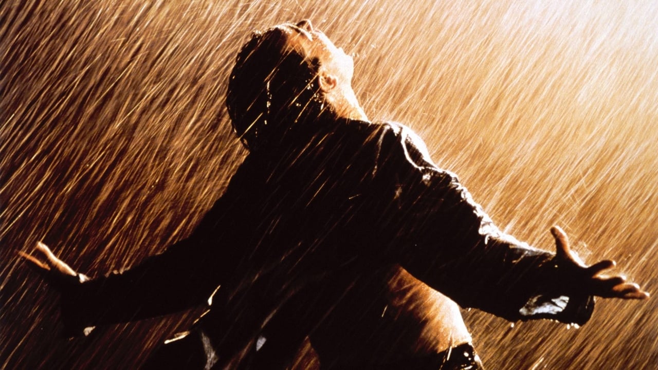 The Shawshank Redemption 1994 - Movie Banner