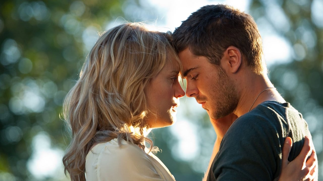 The Lucky One - Banner