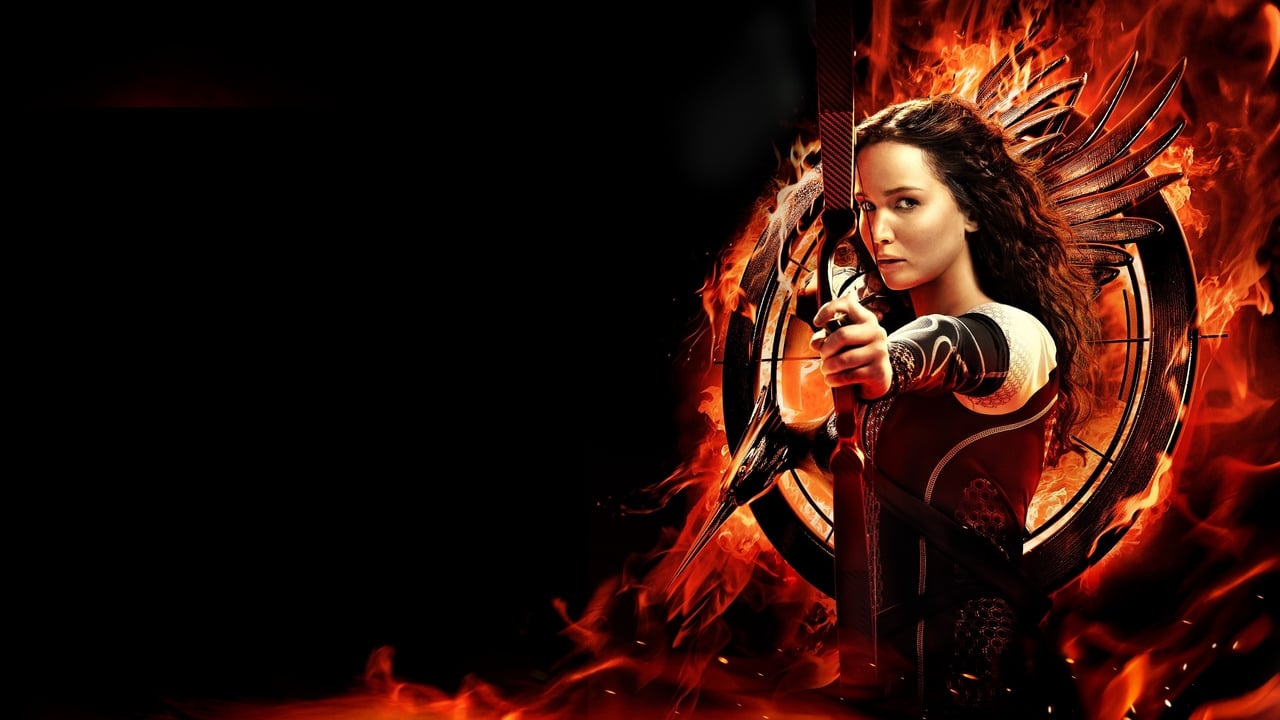 The Hunger Games: Catching Fire 2013 - Movie Banner