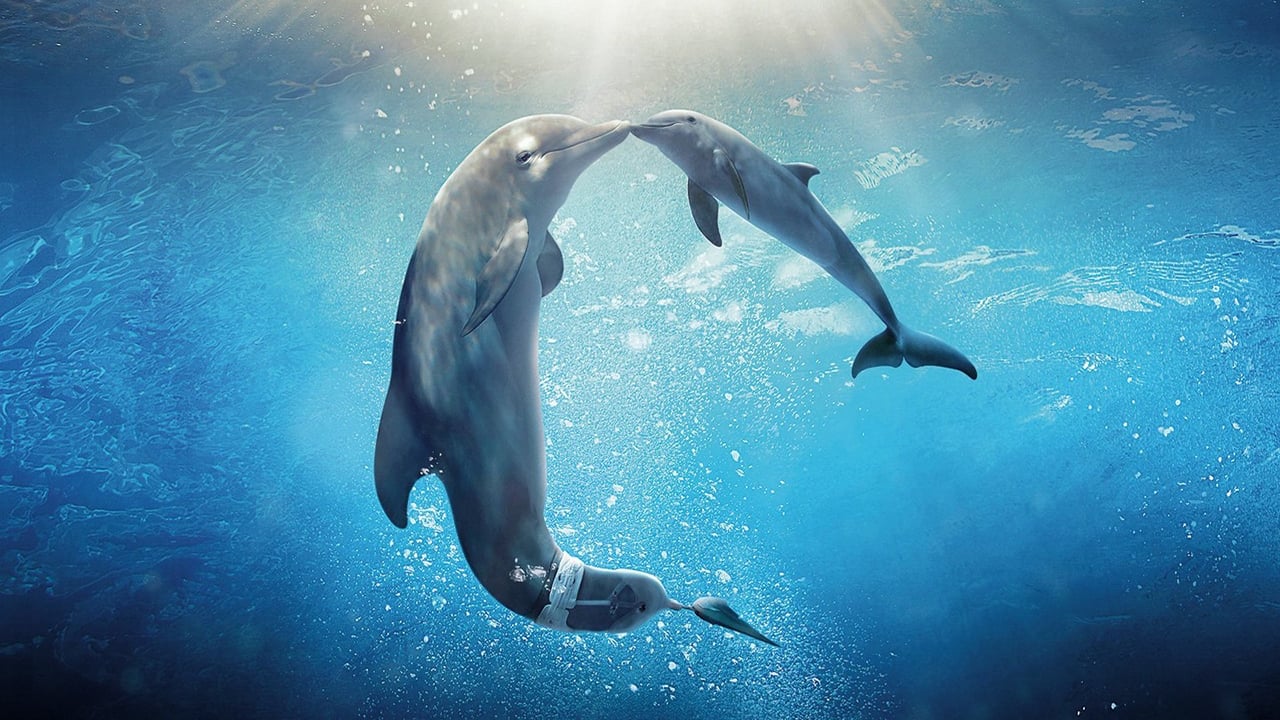 Dolphin Tale 2 2014 - Movie Banner