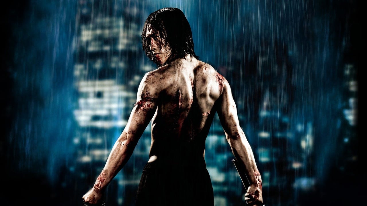 Ninja Assassin 2009 - Movie Banner