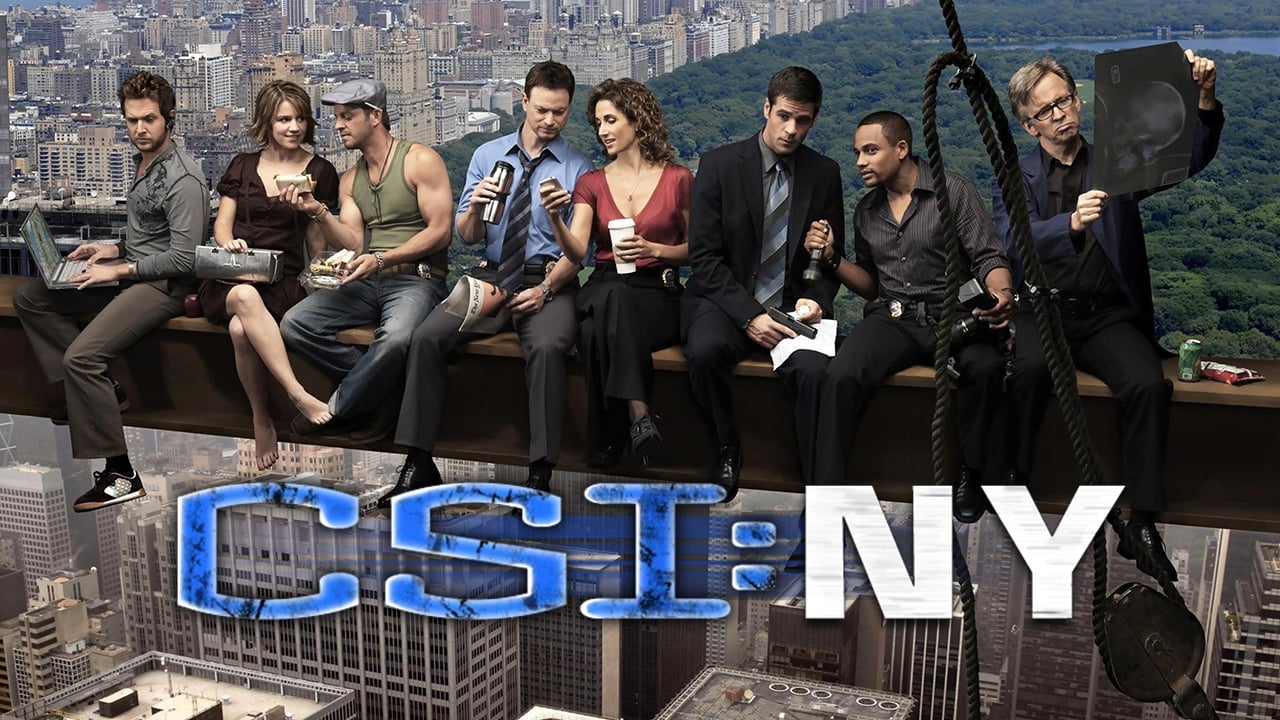 CSI: NY 2004 - Tv Show Banner