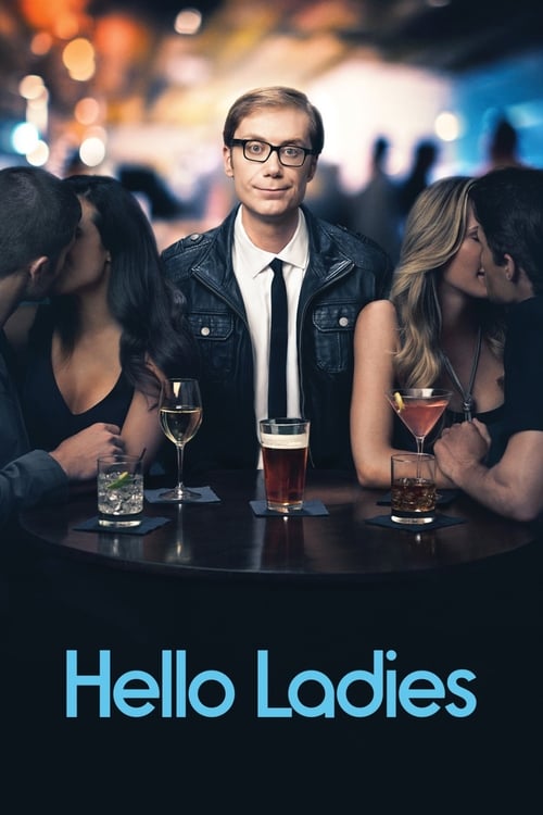 Hello Ladies - Poster