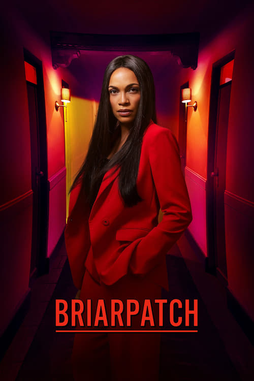 Briarpatch - Poster