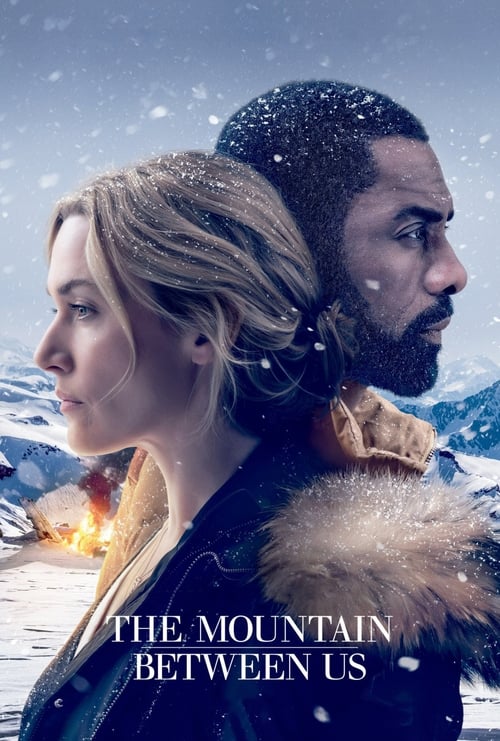 The Mountain Between Us - poster