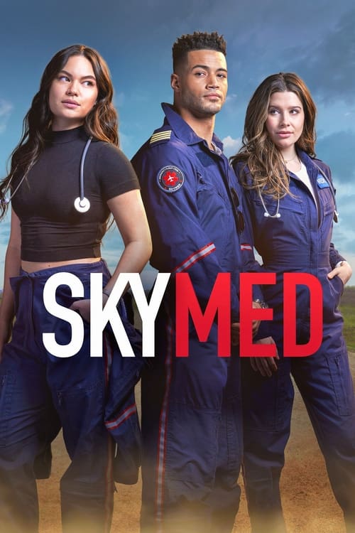 SkyMed -  poster