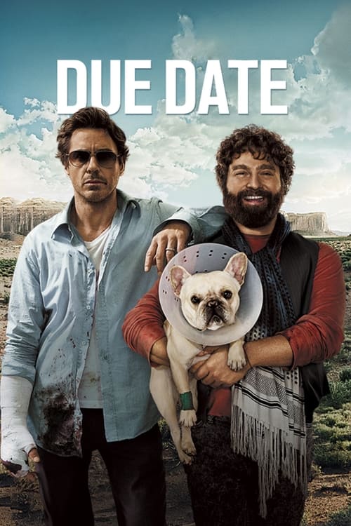 Due Date - Poster