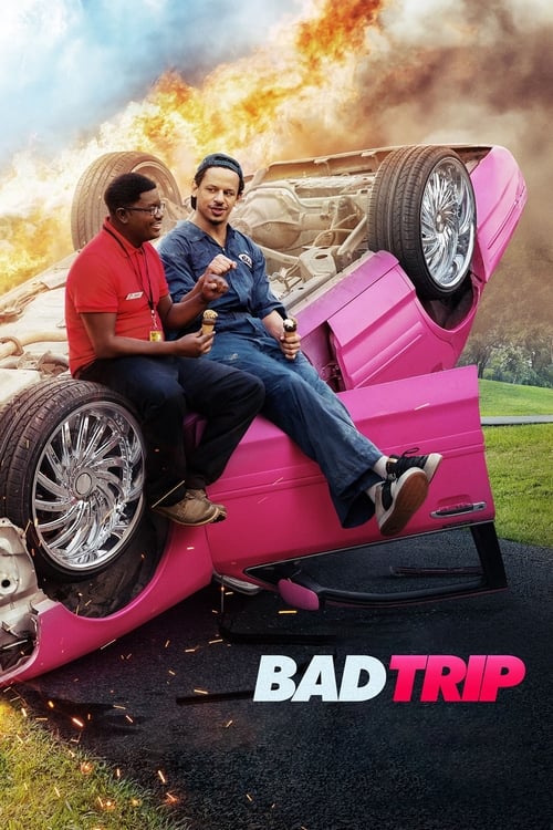 Bad Trip - Poster