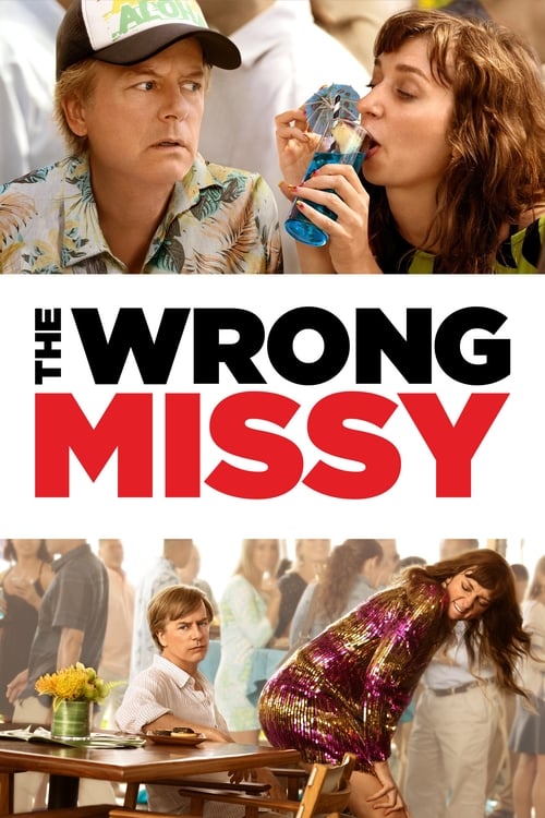 The Wrong Missy - Poster