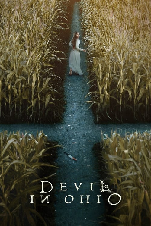 Devil in Ohio -  poster