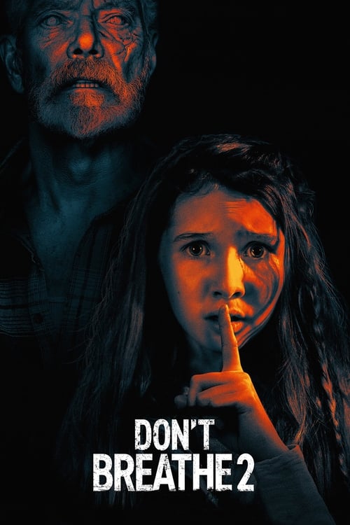 Don't Breathe 2 - Poster