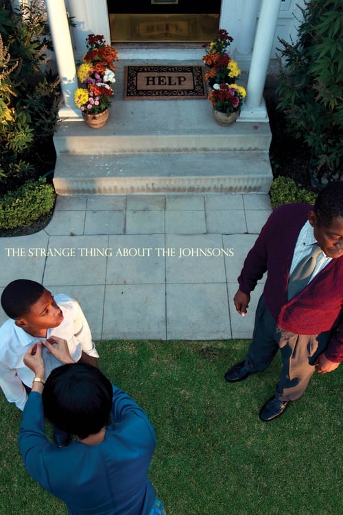 The Strange Thing About the Johnsons - poster