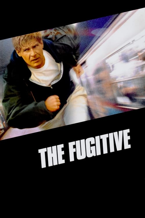 The Fugitive - poster