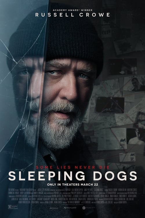 Sleeping Dogs - poster