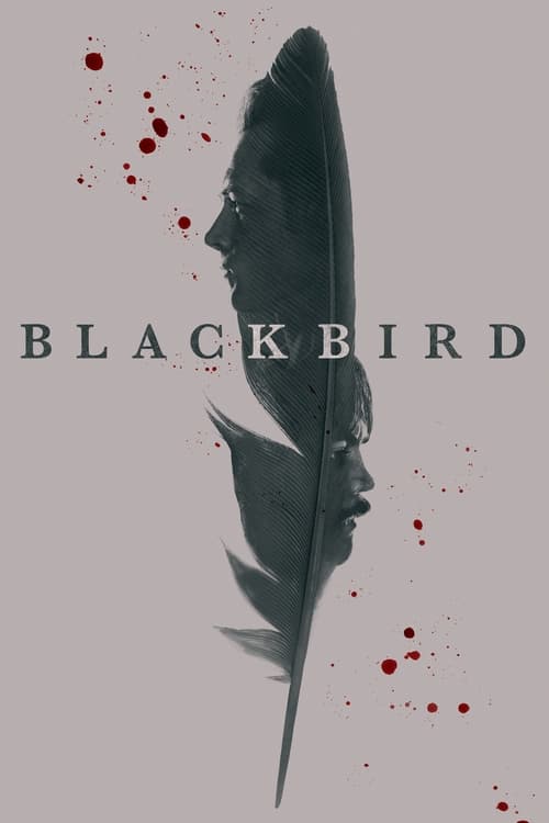 Black Bird -  poster