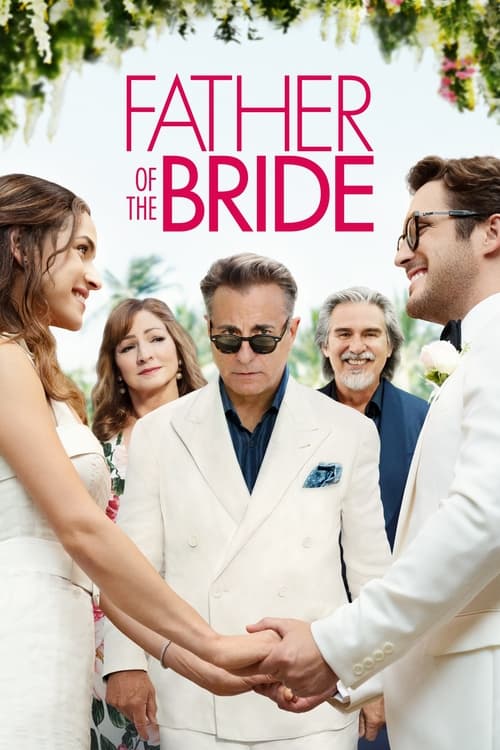 Father of the Bride - poster