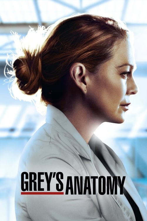 Grey's Anatomy -  poster