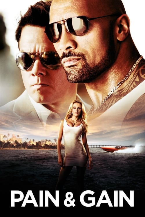Pain and Gain - poster