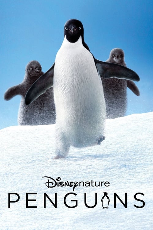 Penguins - poster