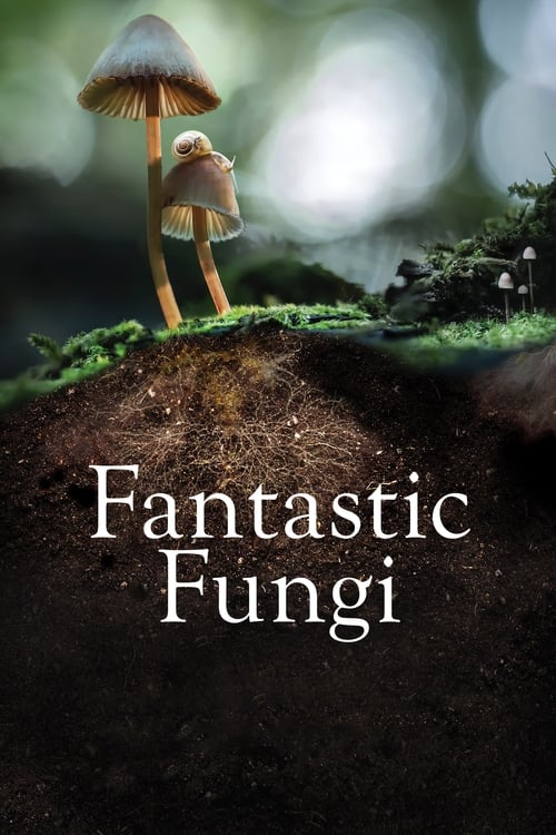 Fantastic Fungi - poster