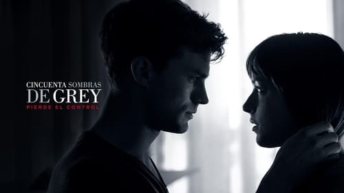 Fifty Shades of Grey - Banner