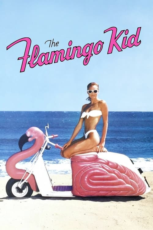 The Flamingo Kid - poster