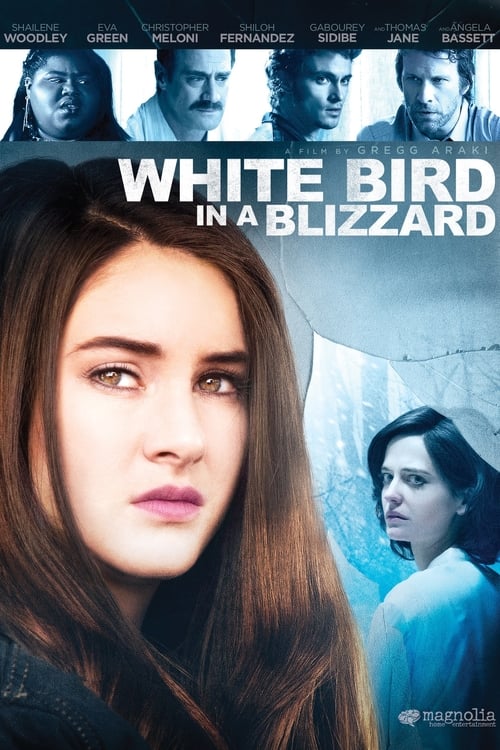 White Bird in a Blizzard - Poster