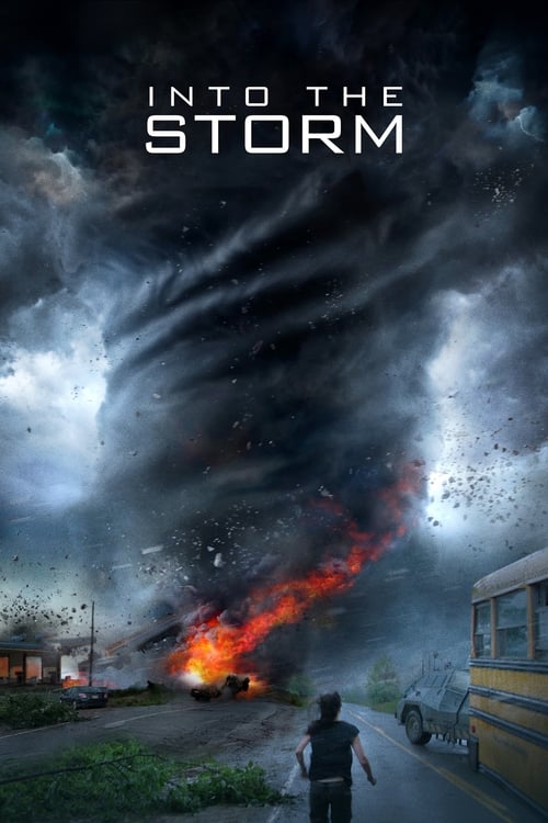Into The Storm - poster