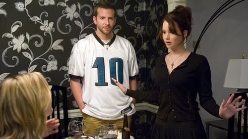 Silver Linings Playbook - Banner