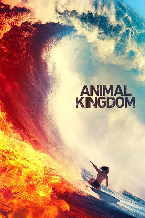 Animal Kingdom - Poster