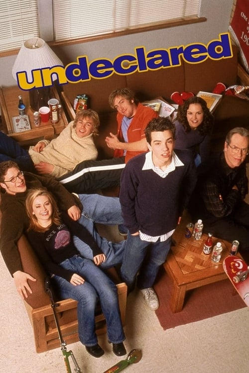 Undeclared -  poster