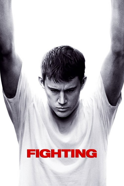 Fighting - poster
