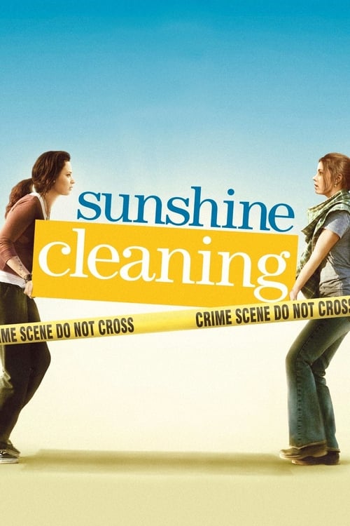 Sunshine Cleaning - poster