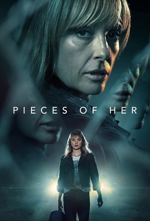 Pieces of Her -  poster